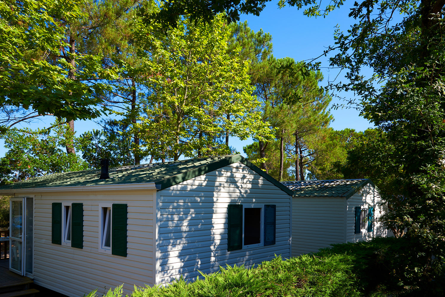 Small white house with green shutters surrounded by trees on a sunny day.