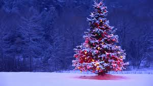 Seasonal Greetings | A Merry Christmas and Happy New Year from RSL Ireland
