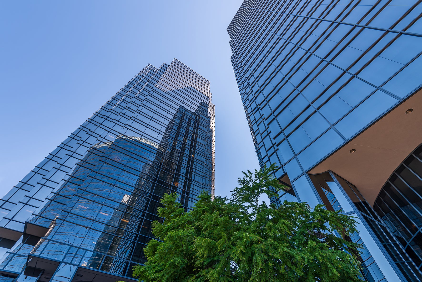 Tall glass buildings with a clear blue sky