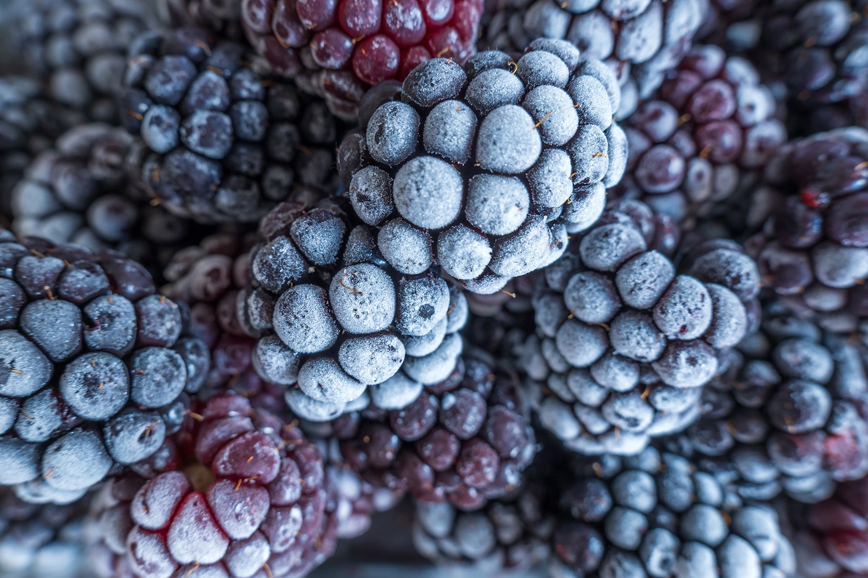 Close-up of frozen blackberries covered in a white frost, with some berries showing a deeper purple-red tone underneath.