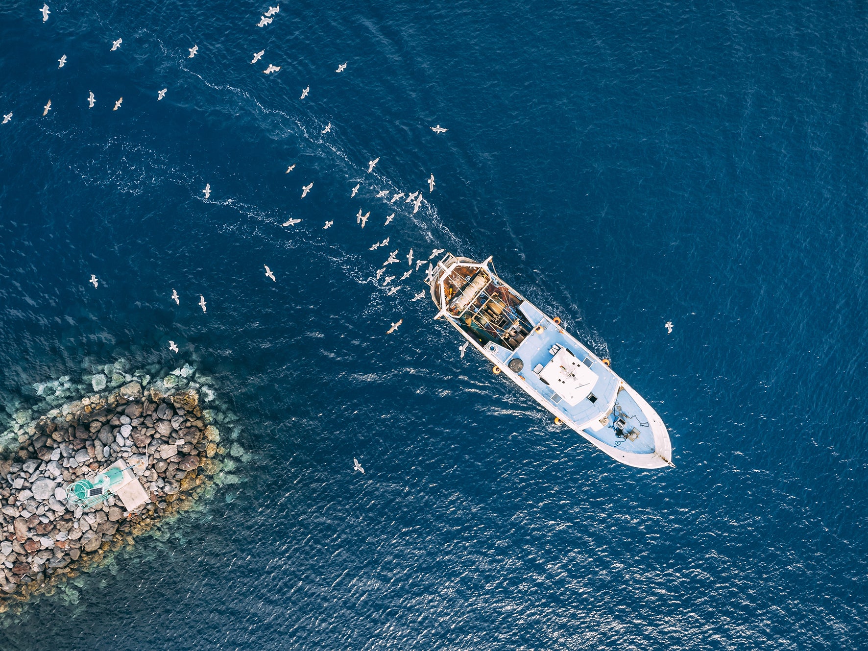Aerial view of a boat on a blue sea with birds and rocks.