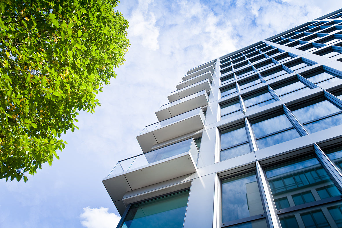 Tall modern glass office building, with green leafy tree on left hand side.